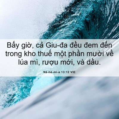 Picture 06 - Nê-hê-mi-a 13:12 VIE - Bấy giờ, cả Giu-đa đều đem đến - Bible Verse Picture
