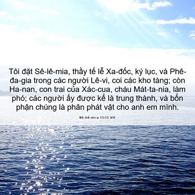 Picture 06 - Nê-hê-mi-a 13:13 VIE - Tôi đặt Sê-lê-mia, thầy tế lễ - Bible Verse Picture