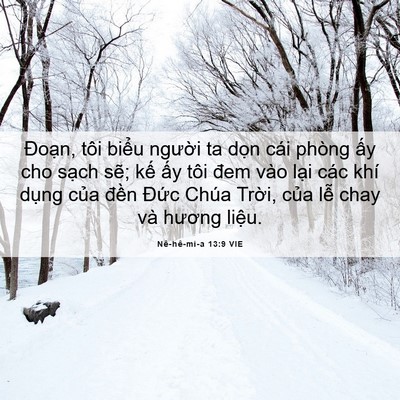 Picture 06 - Nê-hê-mi-a 13:9 VIE - Đoạn, tôi biểu người ta dọn cái - Bible Verse Picture