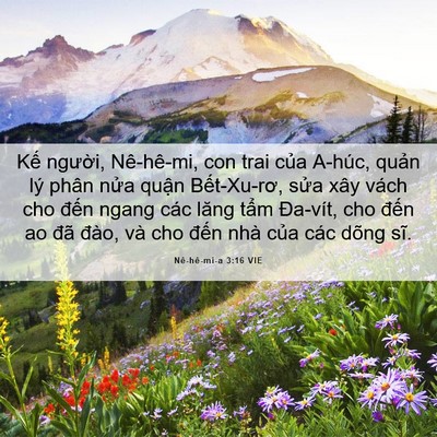 Picture 06 - Nê-hê-mi-a 3:16 VIE - Kế người, Nê-hê-mi, con trai của A-húc, - Bible Verse Picture