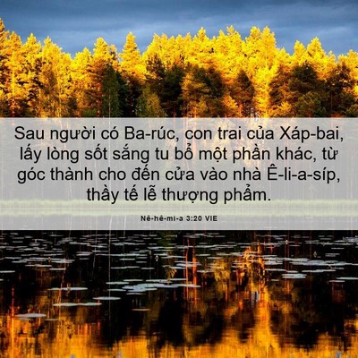 Picture 06 - Nê-hê-mi-a 3:20 VIE - Sau người có Ba-rúc, con trai của - Bible Verse Picture
