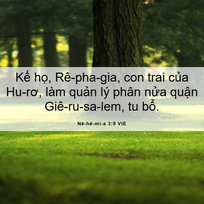 Picture 06 - Nê-hê-mi-a 3:9 VIE - Kế họ, Rê-pha-gia, con trai của Hu-rơ, - Bible Verse Picture