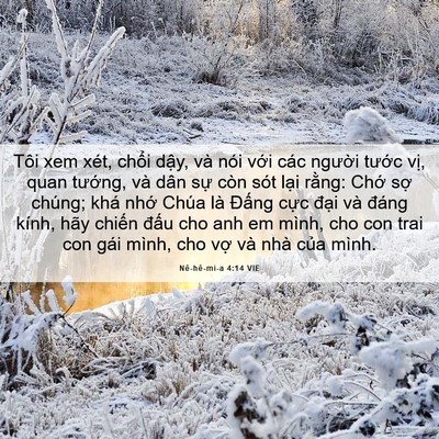 Picture 06 - Nê-hê-mi-a 4:14 VIE - Tôi xem xét, chổi dậy, và nói với các - Bible Verse Picture