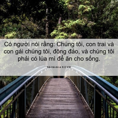Picture 06 - Nê-hê-mi-a 5:2 VIE - Có người nói rằng: Chúng tôi, con trai - Bible Verse Picture