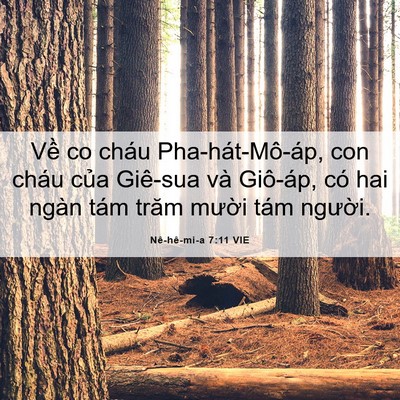 Picture 06 - Nê-hê-mi-a 7:11 VIE - Về co cháu Pha-hát-Mô-áp, con cháu của - Bible Verse Picture