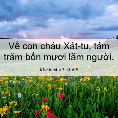 Picture 06 - Nê-hê-mi-a 7:13 VIE - Về con cháu Xát-tu, tám trăm bốn mươi - Bible Verse Picture
