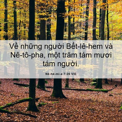 Picture 06 - Nê-hê-mi-a 7:26 VIE - Về những người Bết-lê-hem và - Bible Verse Picture