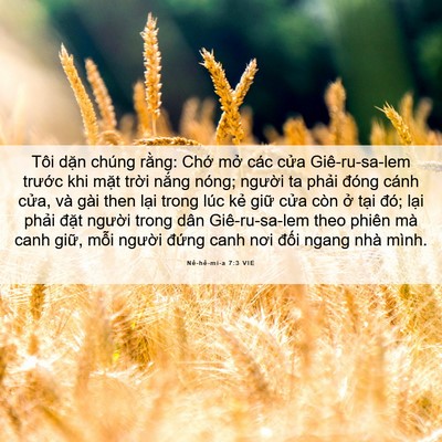 Picture 06 - Nê-hê-mi-a 7:3 VIE - Tôi dặn chúng rằng: Chớ mở các cửa - Bible Verse Picture