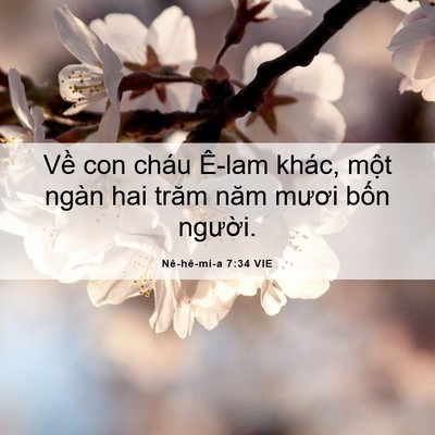 Picture 06 - Nê-hê-mi-a 7:34 VIE - Về con cháu Ê-lam khác, một ngàn hai - Bible Verse Picture