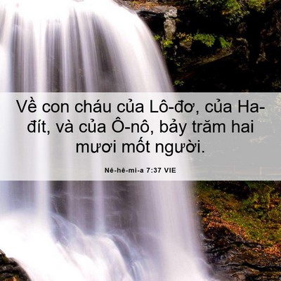 Picture 06 - Nê-hê-mi-a 7:37 VIE - Về con cháu của Lô-đơ, của Ha-đít, - Bible Verse Picture