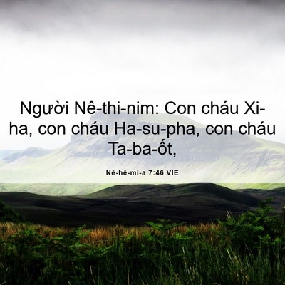 Picture 06 - Nê-hê-mi-a 7:46 VIE - Người Nê-thi-nim: Con cháu Xi-ha, con cháu - Bible Verse Picture