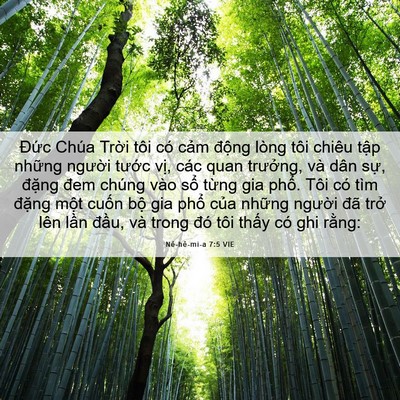 Picture 06 - Nê-hê-mi-a 7:5 VIE - Đức Chúa Trời tôi có cảm động lòng - Bible Verse Picture