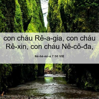 Picture 06 - Nê-hê-mi-a 7:50 VIE - con cháu Rê-a-gia, con cháu Rê-xin, con cháu - Bible Verse Picture