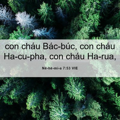 Picture 06 - Nê-hê-mi-a 7:53 VIE - con cháu Bác-búc, con cháu Ha-cu-pha, con - Bible Verse Picture