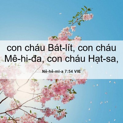 Picture 06 - Nê-hê-mi-a 7:54 VIE - con cháu Bát-lít, con cháu Mê-hi-đa, con - Bible Verse Picture