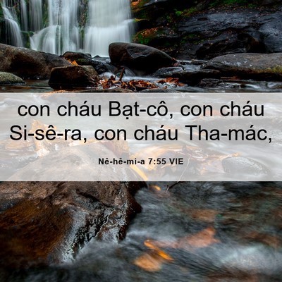 Picture 06 - Nê-hê-mi-a 7:55 VIE - con cháu Bạt-cô, con cháu Si-sê-ra, con - Bible Verse Picture