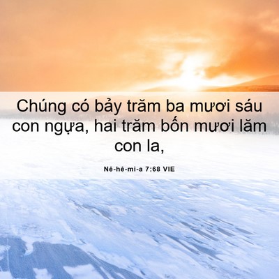 Picture 06 - Nê-hê-mi-a 7:68 VIE - Chúng có bảy trăm ba mươi sáu con ngựa, - Bible Verse Picture
