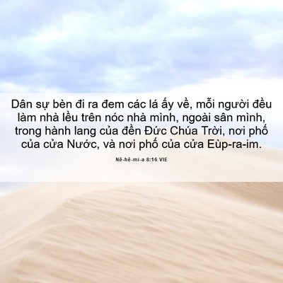 Picture 06 - Nê-hê-mi-a 8:16 VIE - Dân sự bèn đi ra đem các lá ấy về, - Bible Verse Picture