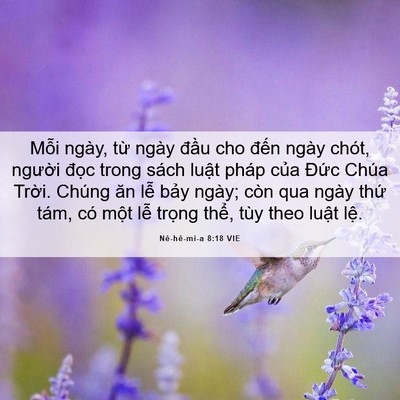 Picture 06 - Nê-hê-mi-a 8:18 VIE - Mỗi ngày, từ ngày đầu cho đến ngày - Bible Verse Picture
