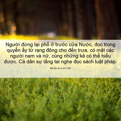Picture 06 - Nê-hê-mi-a 8:3 VIE - Người đứng tại phố ở trước cửa - Bible Verse Picture