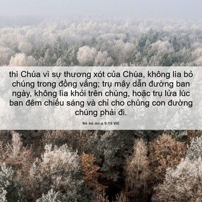 Picture 06 - Nê-hê-mi-a 9:19 VIE - thì Chúa vì sự thương xót của Chúa, - Bible Verse Picture