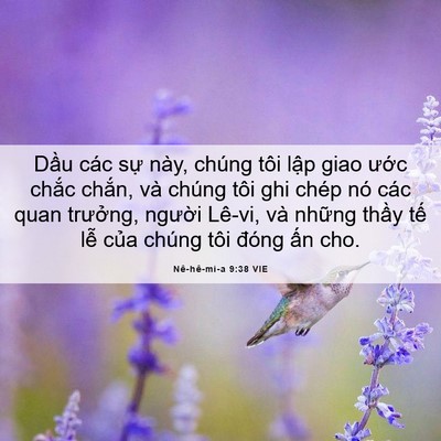 Picture 06 - Nê-hê-mi-a 9:38 VIE - Dầu các sự này, chúng tôi lập giao - Bible Verse Picture