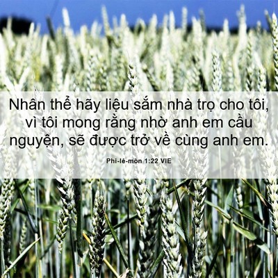Picture 06 - Phi-lê-môn 1:22 VIE - Nhân thể hãy liệu sắm nhà trọ cho - Bible Verse Picture