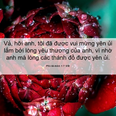 Picture 06 - Phi-lê-môn 1:7 VIE - Vả, hỡi anh, tôi đã được vui mừng - Bible Verse Picture