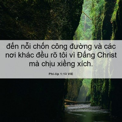 Picture 06 - Phi-líp 1:13 VIE - đến nỗi chốn công đường và các nơi - Bible Verse Picture