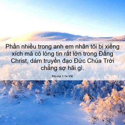Picture 06 - Phi-líp 1:14 VIE - Phần nhiều trong anh em nhân tôi bị - Bible Verse Picture