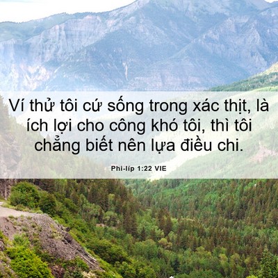 Picture 06 - Phi-líp 1:22 VIE - Ví thử tôi cứ sống trong xác thịt, là - Bible Verse Picture