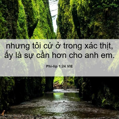 Picture 06 - Phi-líp 1:24 VIE - nhưng tôi cứ ở trong xác thịt, ấy là - Bible Verse Picture