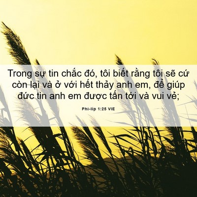 Picture 06 - Phi-líp 1:25 VIE - Trong sự tin chắc đó, tôi biết rằng - Bible Verse Picture