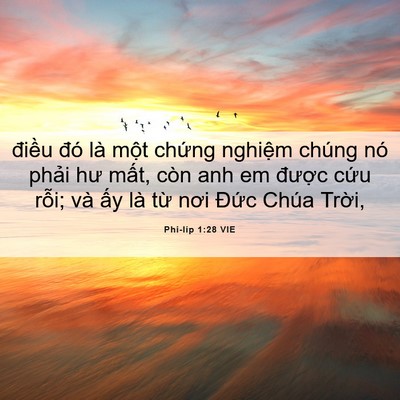 Picture 06 - Phi-líp 1:28 VIE - điều đó là một chứng nghiệm chúng - Bible Verse Picture