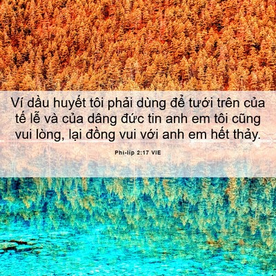Picture 06 - Phi-líp 2:17 VIE - Ví dầu huyết tôi phải dùng để tưới - Bible Verse Picture