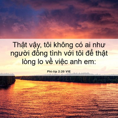 Picture 06 - Phi-líp 2:20 VIE - Thật vậy, tôi không có ai như người - Bible Verse Picture