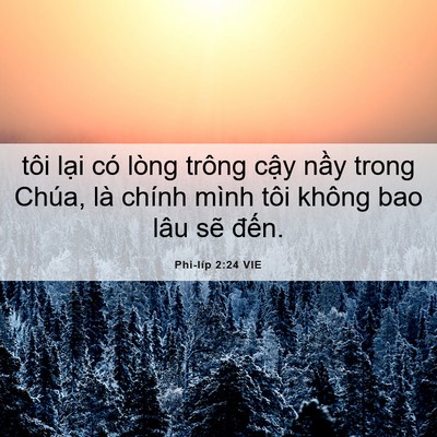 Picture 06 - Phi-líp 2:24 VIE - tôi lại có lòng trông cậy nầy trong - Bible Verse Picture