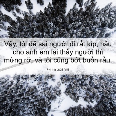 Picture 06 - Phi-líp 2:28 VIE - Vậy, tôi đã sai người đi rất kíp, - Bible Verse Picture