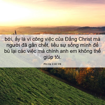 Picture 06 - Phi-líp 2:30 VIE - bởi, ấy là vì công việc của Đấng - Bible Verse Picture