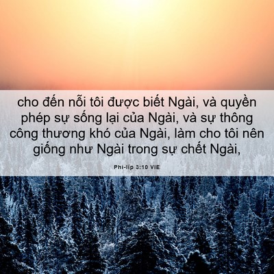 Picture 06 - Phi-líp 3:10 VIE - cho đến nỗi tôi được biết Ngài, và - Bible Verse Picture
