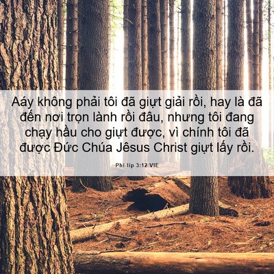 Picture 06 - Phi-líp 3:12 VIE - Aáy không phải tôi đã giựt giải rồi, - Bible Verse Picture