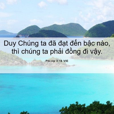 Picture 06 - Phi-líp 3:16 VIE - Duy Chúng ta đã đạt đến bậc nào, thì - Bible Verse Picture