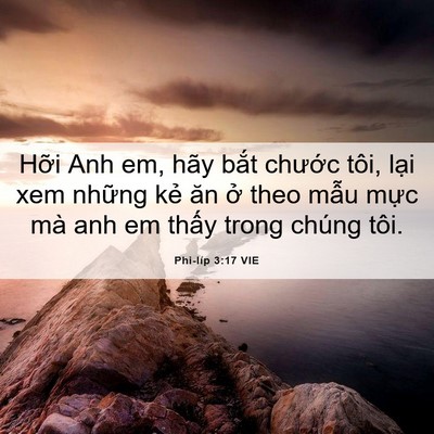 Picture 06 - Phi-líp 3:17 VIE - Hỡi Anh em, hãy bắt chước tôi, lại xem - Bible Verse Picture