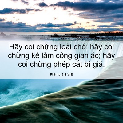 Picture 06 - Phi-líp 3:2 VIE - Hãy coi chừng loài chó; hãy coi chừng - Bible Verse Picture