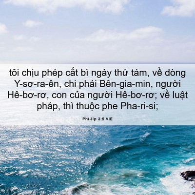 Picture 06 - Phi-líp 3:5 VIE - tôi chịu phép cắt bì ngày thứ tám, - Bible Verse Picture