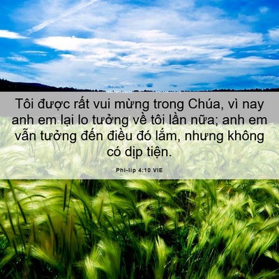 Picture 06 - Phi-líp 4:10 VIE - Tôi được rất vui mừng trong Chúa, vì - Bible Verse Picture