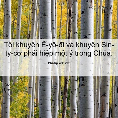 Picture 06 - Phi-líp 4:2 VIE - Tôi khuyên Ê-yô-đi và khuyên Sin-ty-cơ - Bible Verse Picture