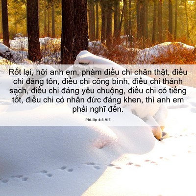 Picture 06 - Phi-líp 4:8 VIE - Rốt lại, hỡi anh em, phàm điều chi - Bible Verse Picture