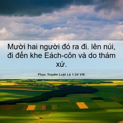 Picture 06 - Phục Truyền Luật Lệ 1:24 VIE - Mười hai người đó ra đi. lên núi, đi - Bible Verse Picture