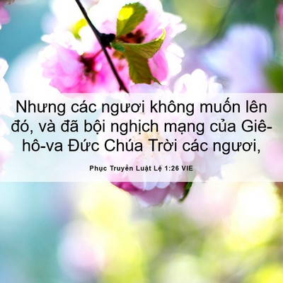 Picture 06 - Phục Truyền Luật Lệ 1:26 VIE - Nhưng các ngươi không muốn lên đó, và - Bible Verse Picture